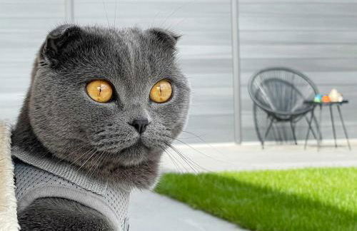 Holzhaus am Listersee - Foto 29