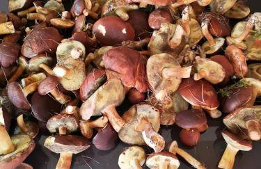 Domek U Justyny - Foto 40