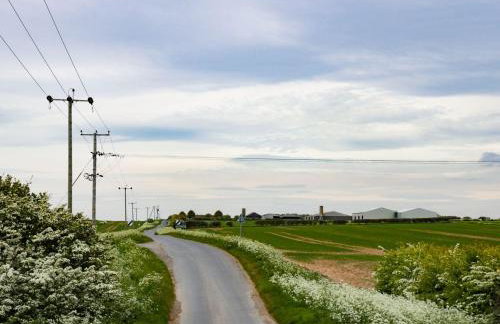 Daisy Nook - Foto 17