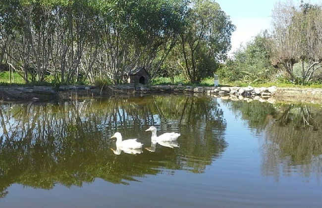 The Lake Villa Mountains & Sea view - Foto 68