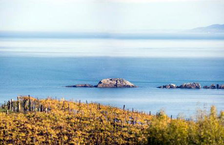 ATERIAN. SANZ ENEA - Foto 33