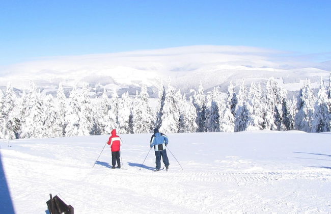 Authentic Holiday Home with Garden near Trutnov - Foto 42