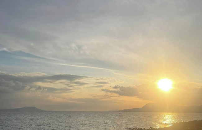 Jovillena Beach Resort Lobo Batangas - Foto 33