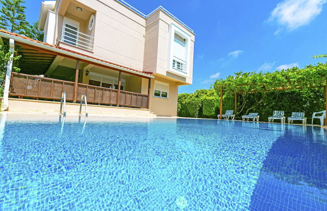 Paradise Town Villa Royal - Photo 17