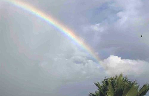 CASA SURYA, Piscina Fantástica, Churrasqueira, Completa, 18 HÓSPEDES na REGIÃO DOS LAGOS - Casa de Campo - Foto 36