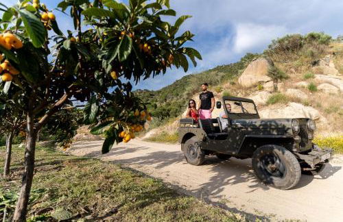 Quinta da Terrincha - Foto 12