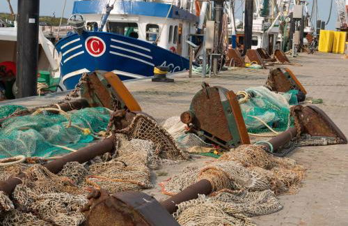 Ferienwohnung Möwe - Foto 17