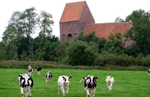 Ferienhaus Ronny - Foto 19