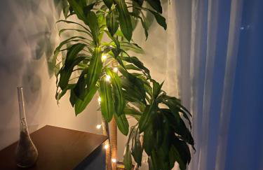 Casa em Saquarema Itaúna - Foto 53