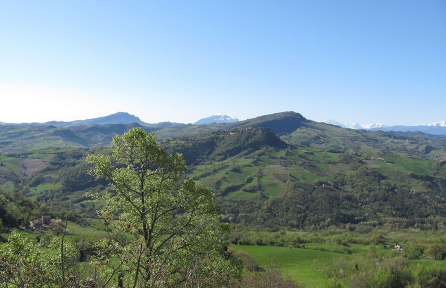 Old House - Photo 29