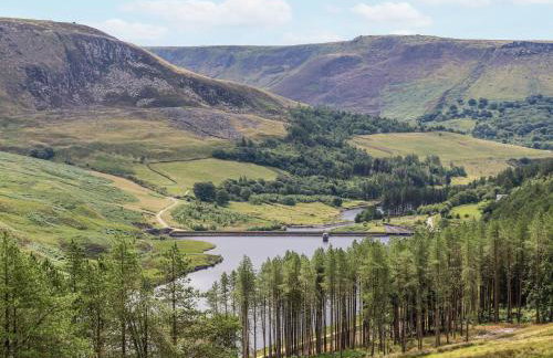 Court Street Cottage - Foto 31