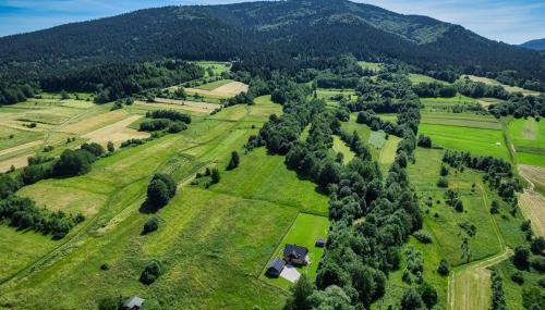 Leśny Zakątek Jurków - Foto 5