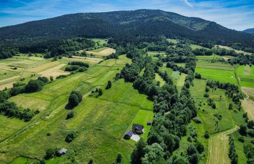 Leśny Zakątek Jurków - Foto 5