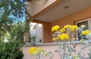 Apartments Ivana - Foto 10