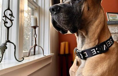 Homestead Upper Bucks - No Pet Fees - Foto 13