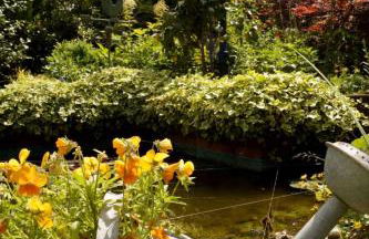 Apartment in Marienhafe by Interhome - Foto 16