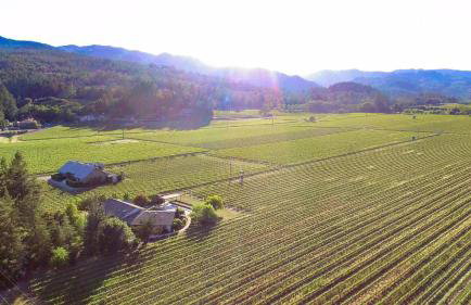 Wine Country Retreat Zinfandel Lane Villa - Foto 4