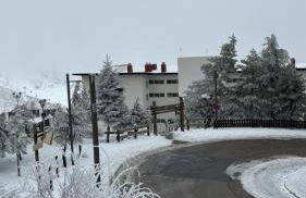 Biznaga Nevada - Foto 61