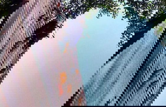 Hotel Fazenda Menino da Porteira - Foto 20