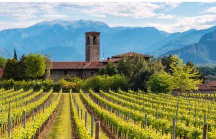 Appartamento seminterrato Villa Sveva Franciacorta - Foto 68