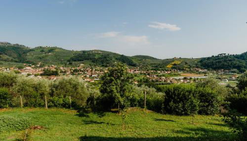 la tana del geco - Foto 4