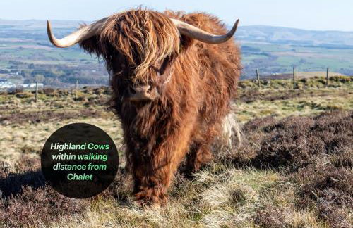 Edinburgh's Springtime Chalet - Foto 22