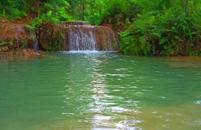 Room in Cabin - Sierraverde Cabins Huasteca Potosina - Foto 10