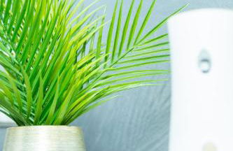 Casa Nannina - Foto 33