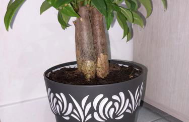 La Casa di Gio ed Eli - Foto 35