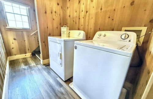 The Spotted Owl - Foto 20