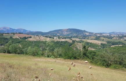 VILLA DUE TIGLI - Foto 34