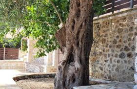 The Stone House - Foto 28