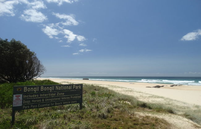 Tuckers Rocks Cottage - Photo 14