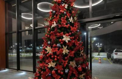 Porto alto - Photo 4