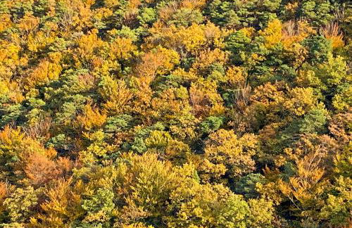 Bel appartement avec jardin - Foto 34