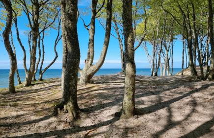 Apartamenty Róża Wiatrów 45B z dużym tarasem - Foto 21