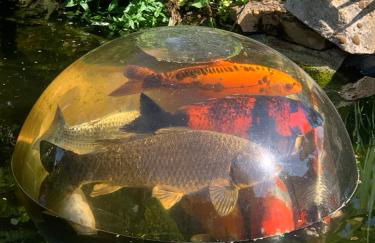 Haus am See - Foto 8