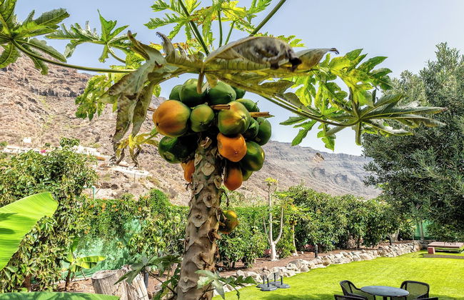 Sol Mogan Suites - Foto 68