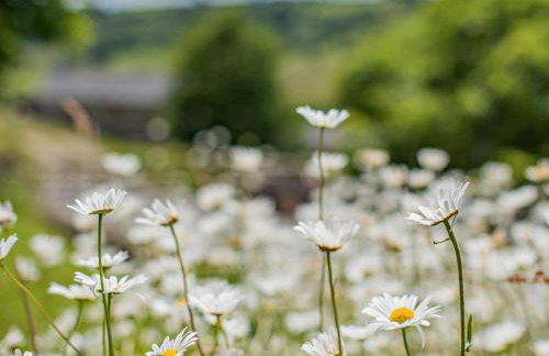 1 Bed in Buxton oc-pk662 - Foto 11