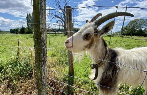 Le Plessis - Photo 32