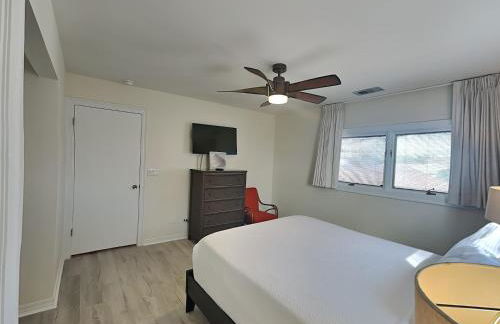 Lion On The Beach - Photo 29