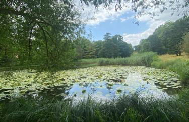 Langensteiner Idyll - Foto 37