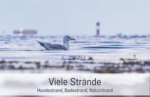 RamosHansenHof Fewo Nordlicht 6 Personen Hund inklusiv - Foto 33