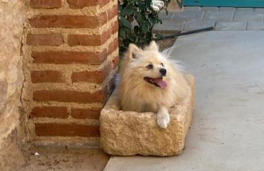 Villa Manfarita - 3 casitas y un jardín hechos con mucho mimo! - Foto 27