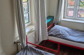 Pferdeblick - Foto 14