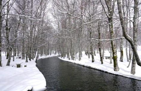 Casa de Férias - Foto 34