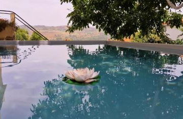 Casa da Fonte - Foto 18