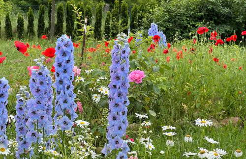 Ferienhof Schmetterlingsgarten - Foto 20