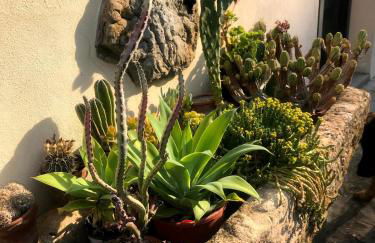 Il Pezzatino - Foto 150