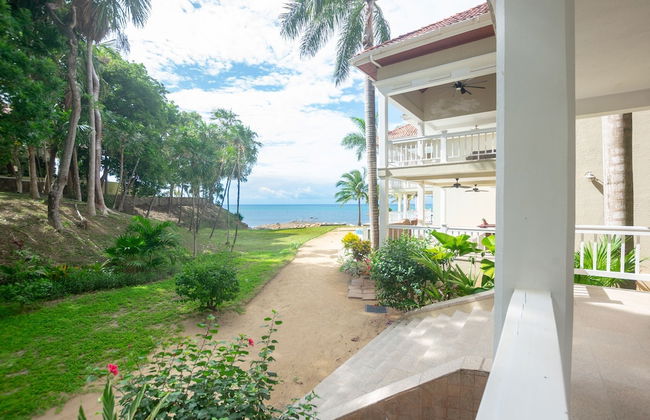 Lawson Rock - Parrotfish 106 - Foto 25